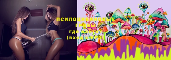 экстази Сатка